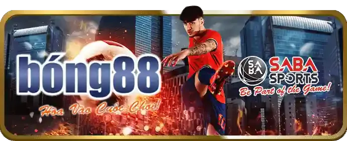 Cá cược thể thao newba5